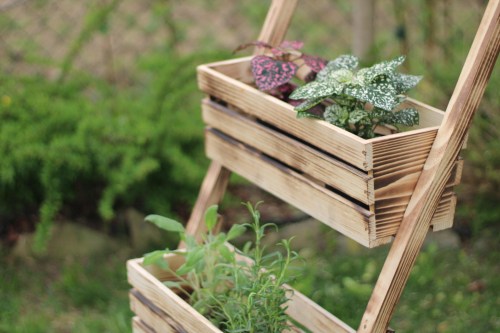 00c7cd36-58c3-4a5f-af41-e1b61d0be5ad