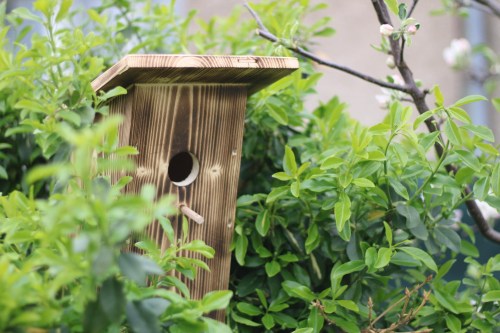 14e9b45e-d6ed-414a-be1a-a3960c57dc7d