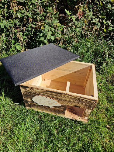 462233813_560949469810104_5141617215272265346_n