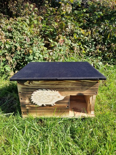 462261459_560949233143461_6501617077594340022_n