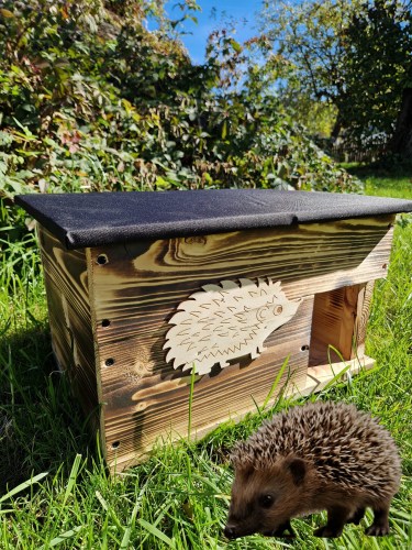 462306217_560949026476815_7933124725995716857_n6